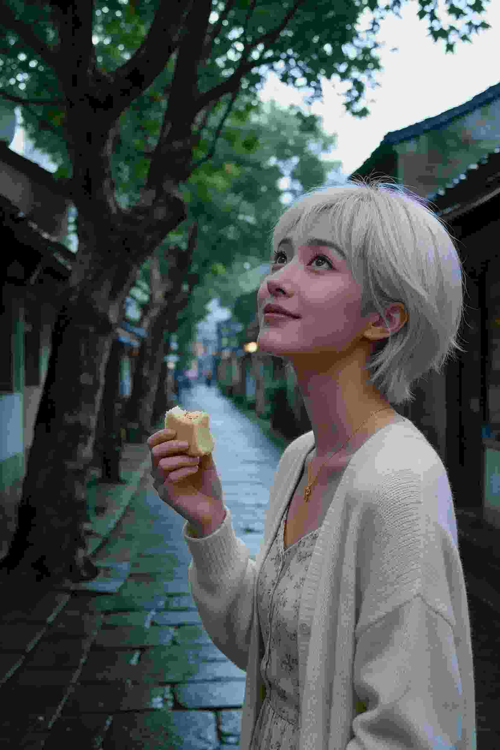 镜中花·水中月