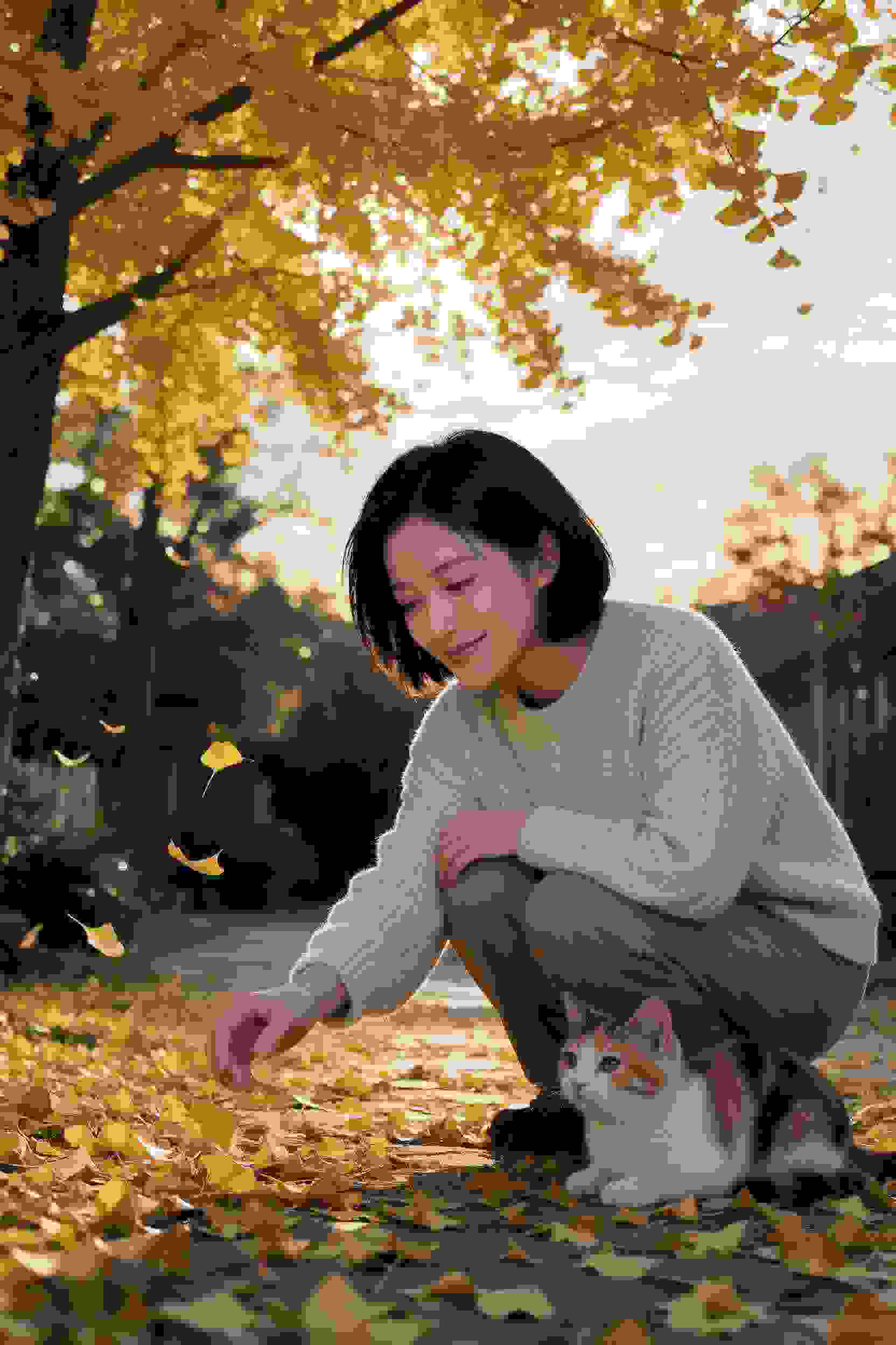 最后的温度